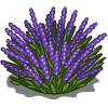 Lavender Bush Icon Png PNG images