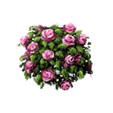 Pink Rose Bushes Icon PNG images