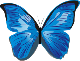 Blue Butterflies Png PNG images