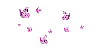 Transparent Butterflies Png PNG images