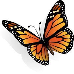 Download Icon Butterfly Png PNG images