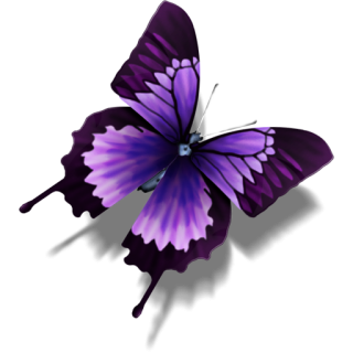 Transparent Icon Butterfly PNG images