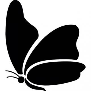 Icon Library Butterfly PNG images