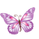 Butterfly Svg Free PNG images