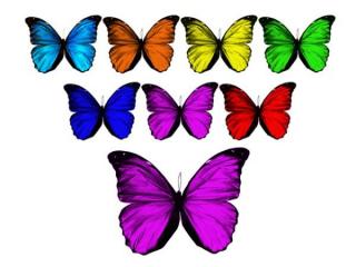 Icon Free Butterfly Png PNG images