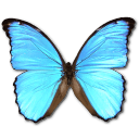 Butterfly Symbols PNG images