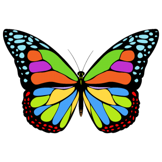 Icon Png Free Butterfly PNG images