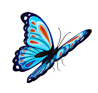 Best Free Butterfly Png Image PNG images