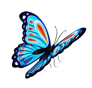 Featured image of post Glowing Butterfly Png For Picsart This clipart image is transparent backgroud and png format