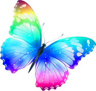 Butterfly PNG, Butterfly Transparent Background - FreeIconsPNG