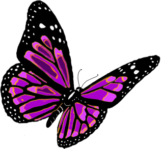 Butterfly PNG, Butterfly Transparent Background - FreeIconsPNG