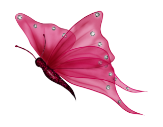 Pink Butterfly Png PNG images