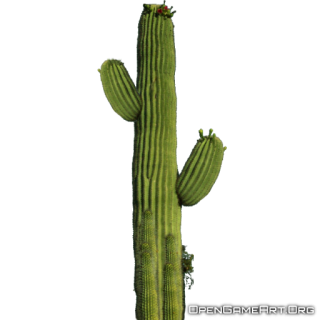 Download Free High-quality Cactus Png Transparent Images PNG images