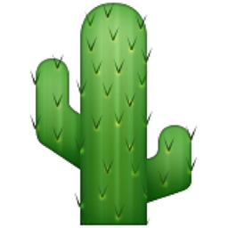 Collections Best Image Png Cactus PNG images