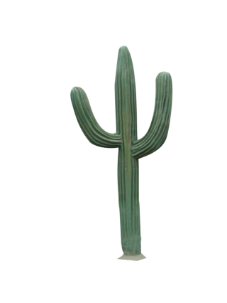 PNG Photo Cactus PNG images