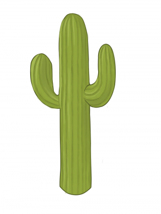 Cactus Png Clipart Download PNG images