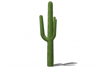 High-quality Cactus Cliparts For Free! PNG images