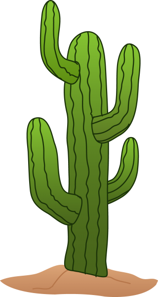 Cactus Png Clipart PNG images
