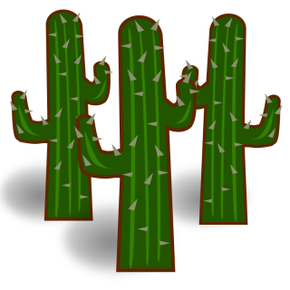 Cactus Transparent Clipart Png PNG images