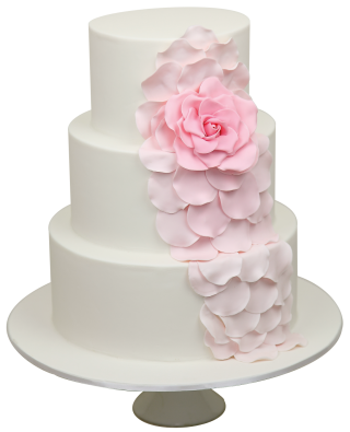 Designs Png Cake PNG images