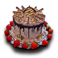 Png Vector Cake PNG images