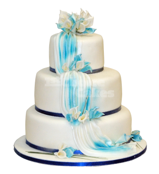 Cake PNG, Cake Transparent Background - FreeIconsPNG