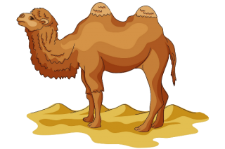 Camel Transparent Png Background Hd PNG images