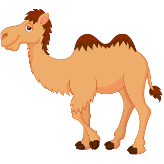 Camel Png Clipart PNG images
