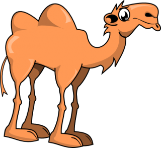 Camel Png Clipart PNG images