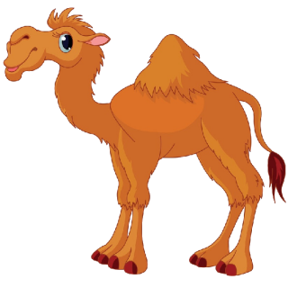 Camel Png Photo Transparent PNG images