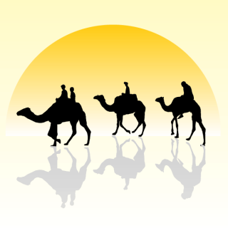 Camels Png PNG images