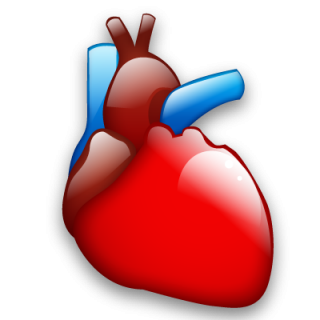 Cardiology, Heart, Organ Icon PNG images