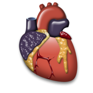 Cardiology .ico PNG images
