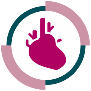 Cardiology Transparent Icon PNG images