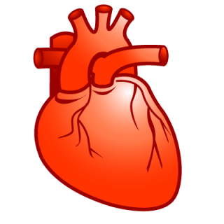 Png Cardiology Download Icon PNG images