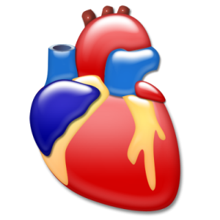 Heart Cardiology Icon PNG images