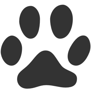 Cat Vector Drawing PNG images