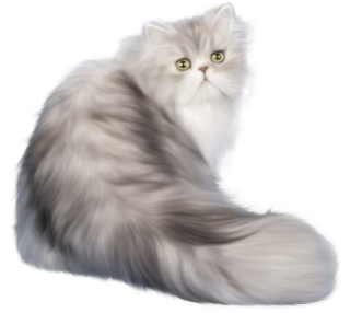 Cotton, Pile Cat Png PNG images