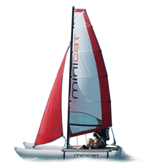 Catamaran Gonflable Minicat 310 PNG images