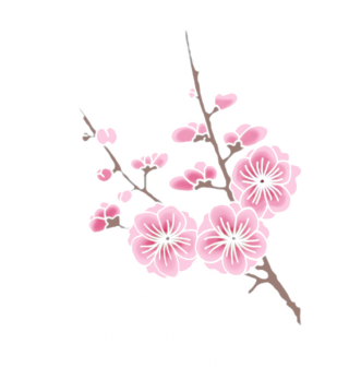 Cherry Blossom Pictures PNG images