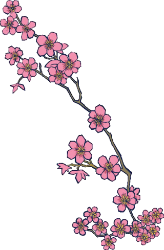 Download Cherry Blossom HD Png Clipart PNG images