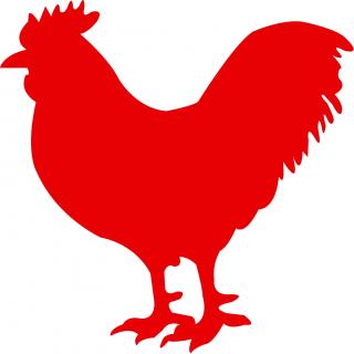 Animals Red Chicken Icon PNG images