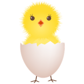 Chicks Download Ico PNG images