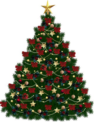 Browse And Download Christmas Tree Png Pictures PNG images