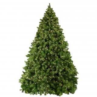 Download Christmas Tree Latest Version 2018 PNG images