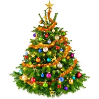 Free Download Of Christmas Tree Icon Clipart PNG images