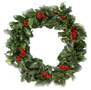 Christmas Wreath PNG Transparent PNG images