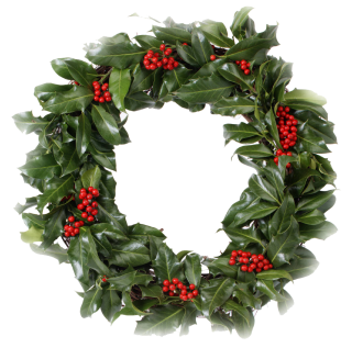 Download Christmas Wreath Png Christmas Wreath Transparent Background Freeiconspng SVG Cut Files