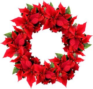 Holiday Wreath Png PNG images
