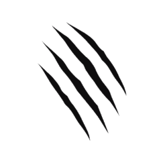 Jaguar Claw Scratch Vector Picture PNG images